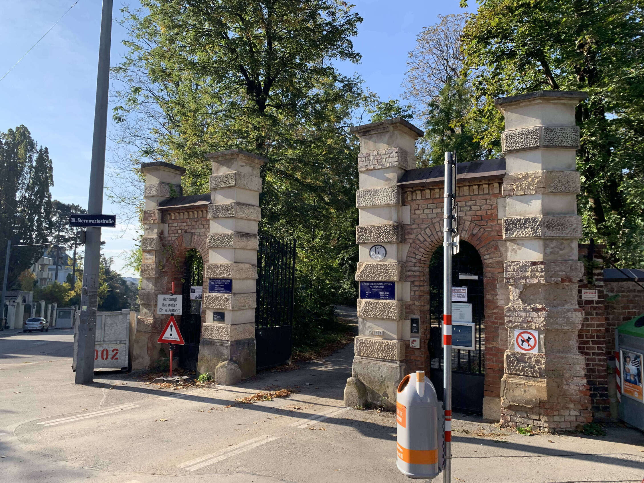 Eine nicht asphaltierte Straße, links und rechts grünes Gebüsch